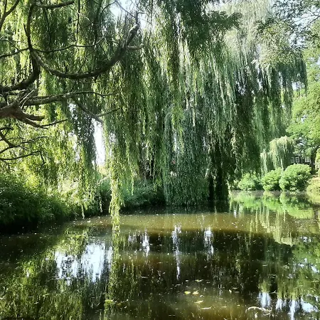 Hans En Gridje 3* Breda