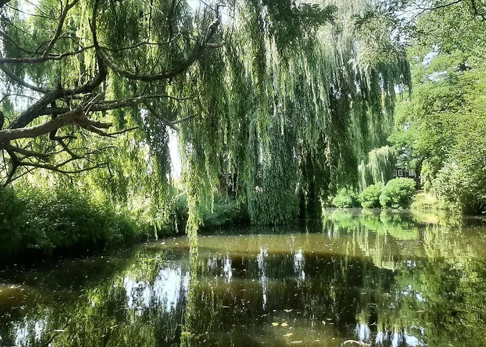 Hans En Gridje 3* Breda